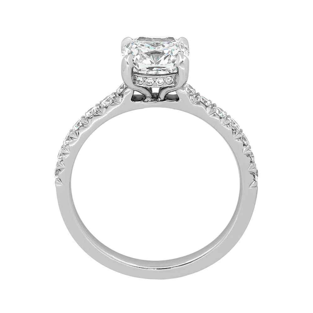 DCJ4872 Cushion Frances Profile Wg