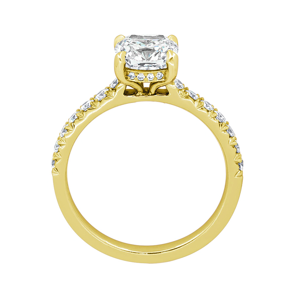 DCJ4872 Cushion Frances Profile Yg