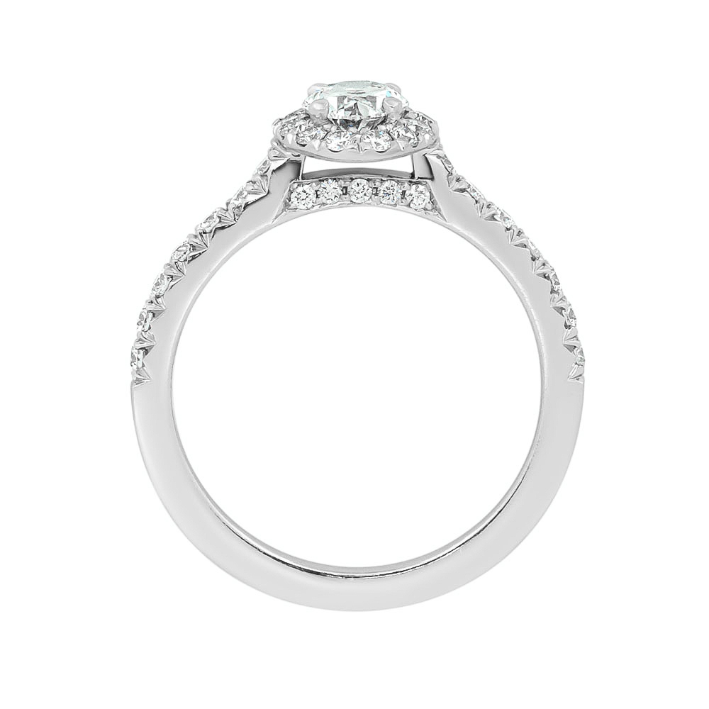 DCJ4833 Oval Halo ER Profile Wg