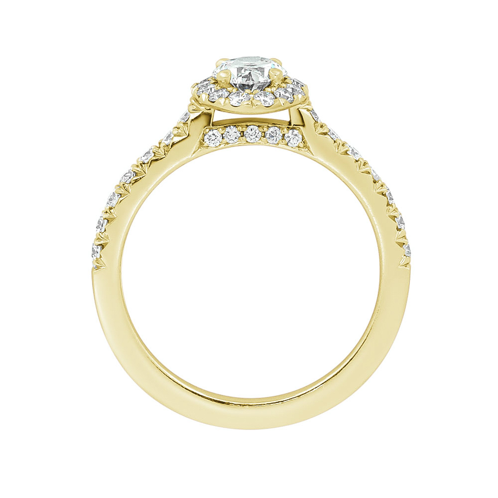 DCJ4833 Oval Halo ER Profile Yg