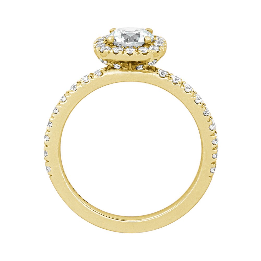 DCJ4333 Ema Halo Profile Yg